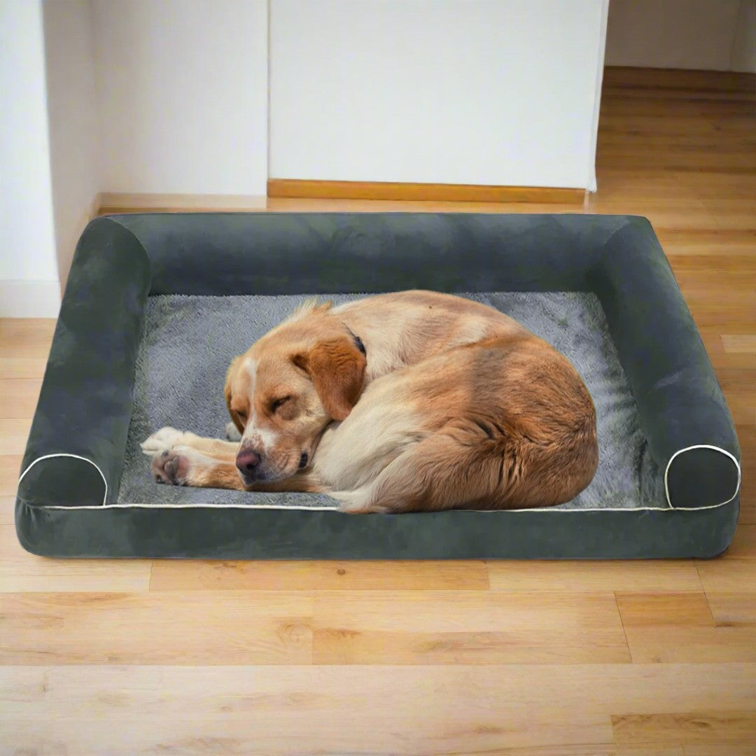 Dreamland for Dogs: Cozy & Luxury Beds for Every Size & Need
