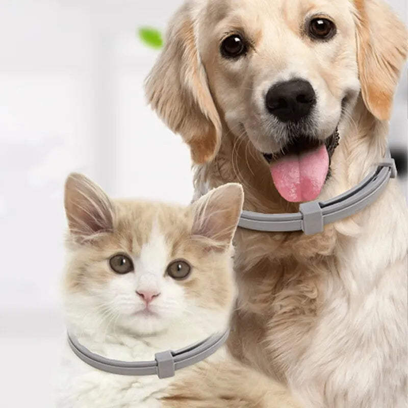 PawfectFriend Flea & Tick Deterrent Collar for Dogs – with Geraniol, Long-Lasting Wear 