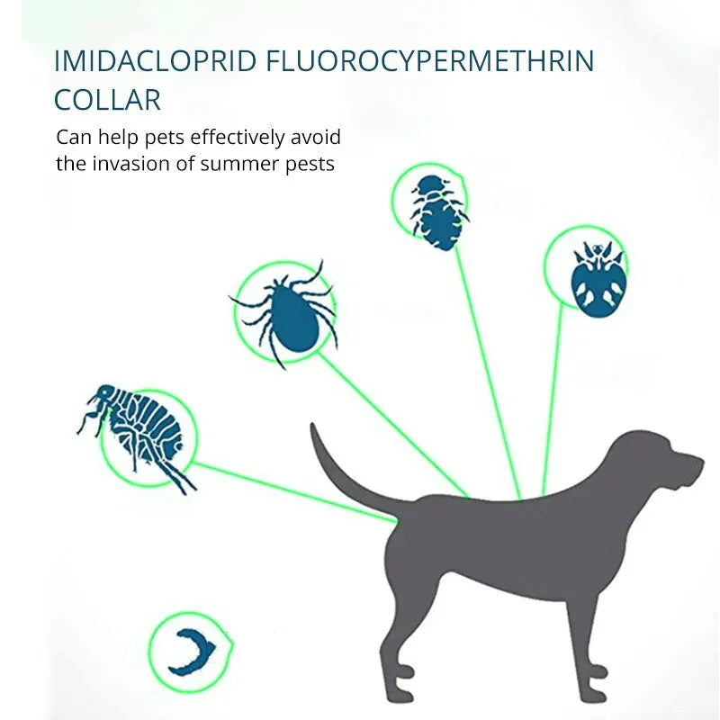 PawfectFriend Flea & Tick Deterrent Collar for Dogs – with Geraniol, Long-Lasting Wear 