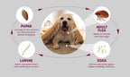 PawfectFriend Flea & Tick Deterrent Collar for Dogs – with Geraniol, Long-Lasting Wear 