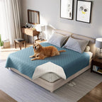 Dog lying on a bed with a blue blanket in a well-lit bedroom.