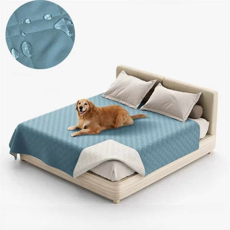 Dog lying on a bed with a blue quilt, close-up of water-resistant fabric texture.