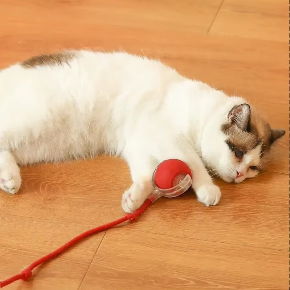 Pawfectfriend Interactive Dog & Cat Toy Rechargeable Rolling Ball with Fake Tail
