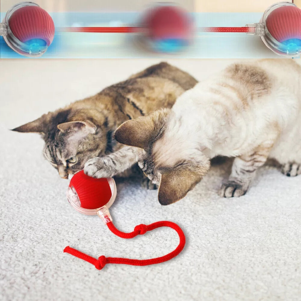 Pawfectfriend Interactive Dog & Cat Toy Rechargeable Rolling Ball with Fake Tail
