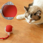 Pawfectfriend Interactive Dog & Cat Toy Rechargeable Rolling Ball with Fake Tail