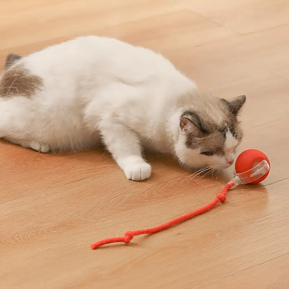 Pawfectfriend Interactive Dog & Cat Toy Rechargeable Rolling Ball with Fake Tail