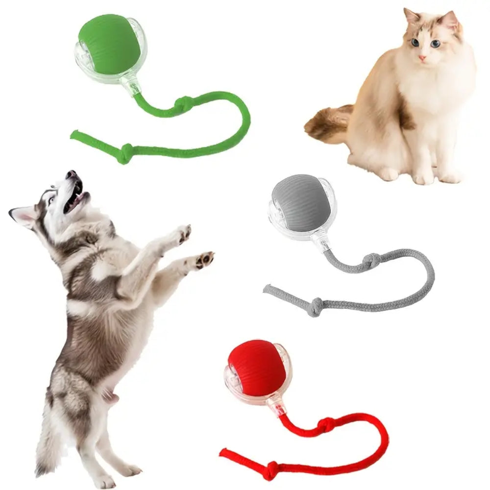 Pawfectfriend Interactive Dog & Cat Toy Rechargeable Rolling Ball with Fake Tail